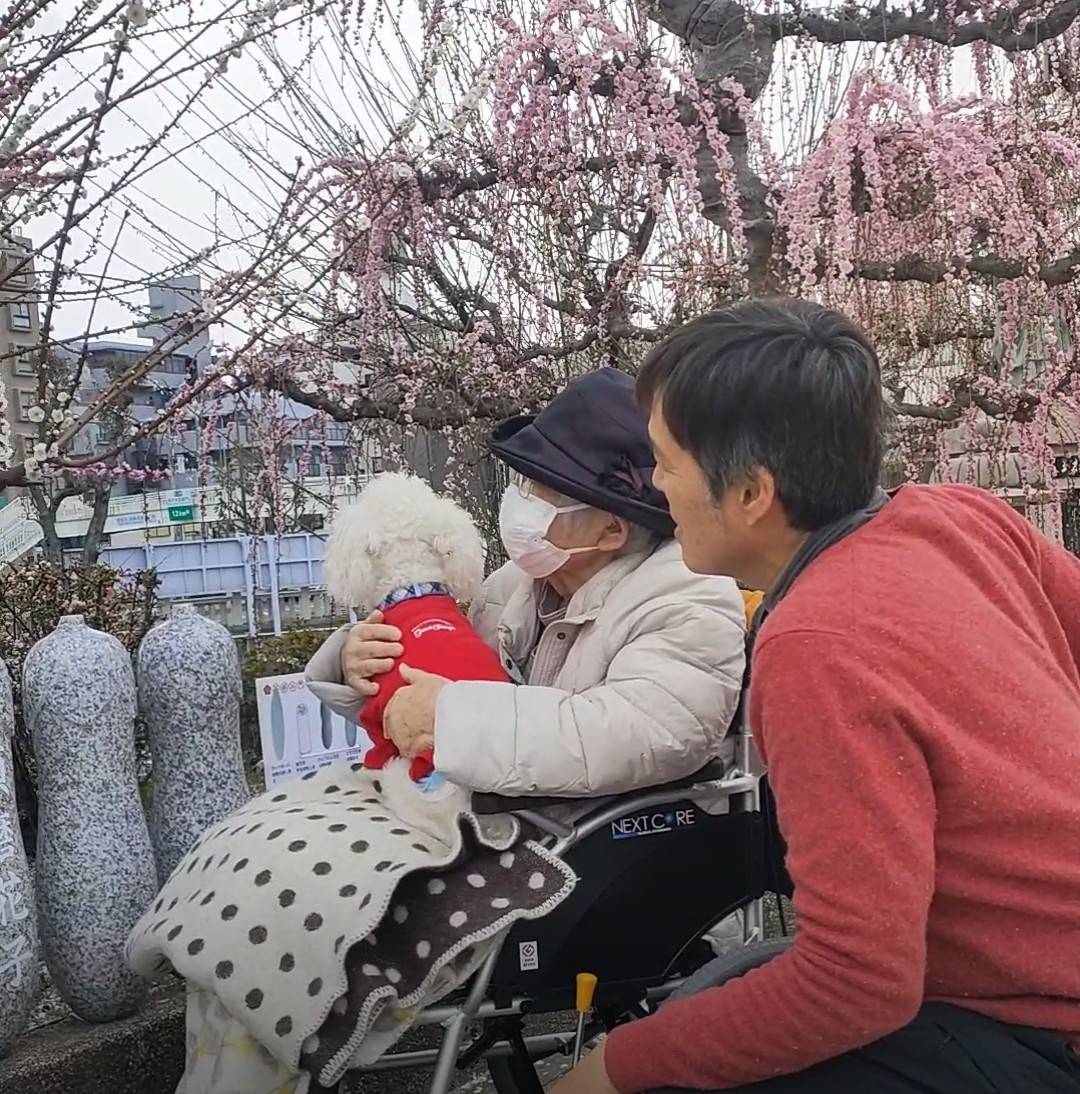 愛犬とおでかけしませんか？の写真